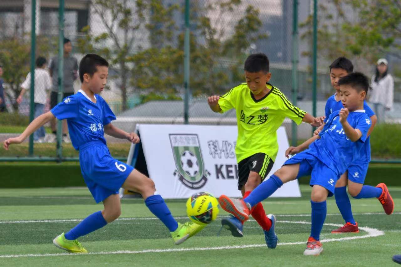 山东泰山4 山东泰山4